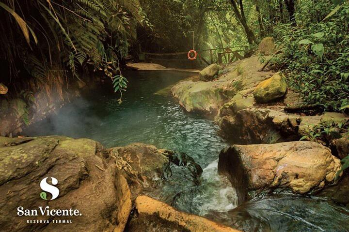 termales-san-vicente-a - Termales Santa Rosa de Cabal, Hotel, Alojamiento, Hospedaje Termales San Vicente